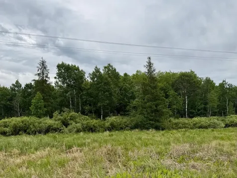 Tbd Highway 65 Nashwauk MN 55769