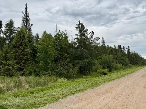 Tbd Highway 65 Nashwauk MN 55769