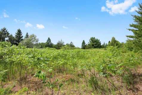 4040 Ricecliff Lane Rice MN 56367