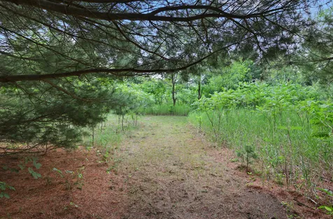 4040 Ricecliff Lane Rice MN 56367