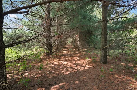 4040 Ricecliff Lane Rice MN 56367