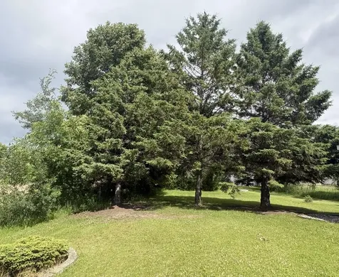 2700 S Lake Jessie Road SE Alexandria MN 56308