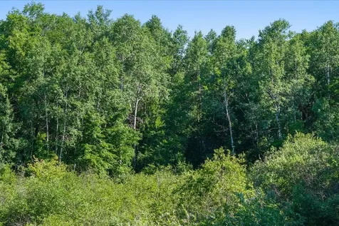 Tbd County Road 39 NE Longville MN 56655