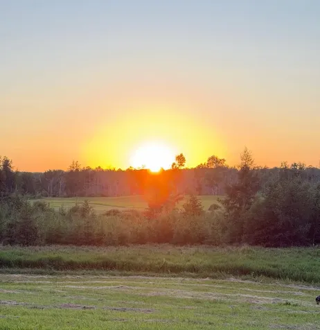 68611 Fleming Road Bruno MN 55712