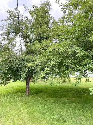 107 Stewart Avenue S Jeffers MN 56145