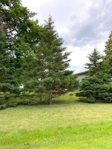 107 Stewart Avenue S Jeffers MN 56145