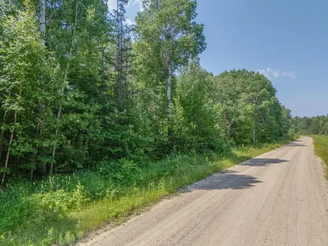 Tbd County Road 308 Mountain Iron MN 55768