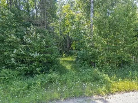Tbd County Road 308 Mountain Iron MN 55768