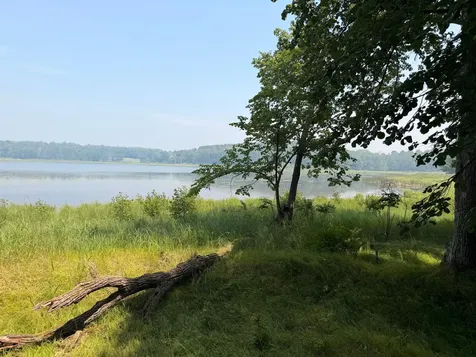 Tbd Lake Douglas Way Breezy Point MN 56472