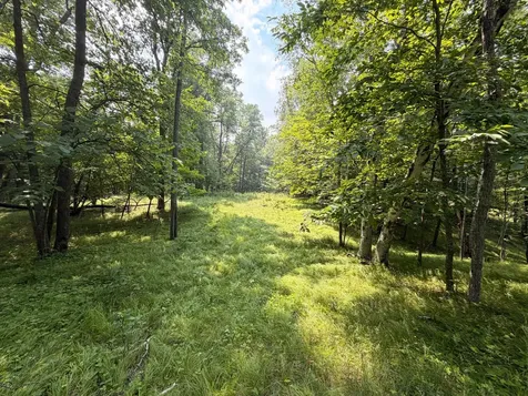 Tbd Lake Douglas Way Breezy Point MN 56472