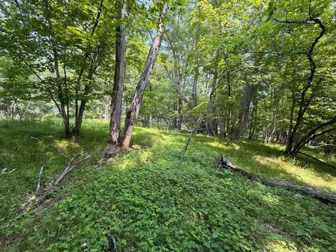 Tbd Lake Douglas Way Breezy Point MN 56472
