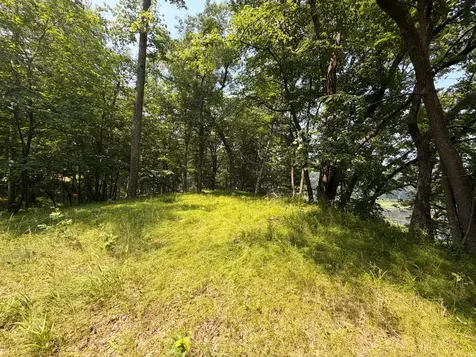 Tbd Lake Douglas Way Breezy Point MN 56472
