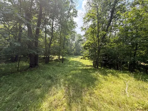 Tbd Lake Douglas Way Breezy Point MN 56472