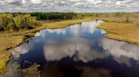 184 Acres 44047a Little Pine Road Emily MN 56447