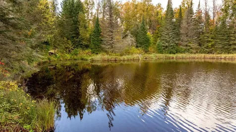 184 Acres 44047a Little Pine Road Emily MN 56447