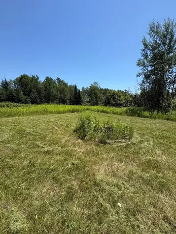 70453 Kingsdale Road Sandstone MN 55072