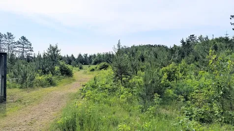 86196 Military Road Sturgeon Lake MN 55783
