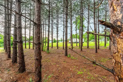 20265 Swenson Drive Clitherall MN 56524