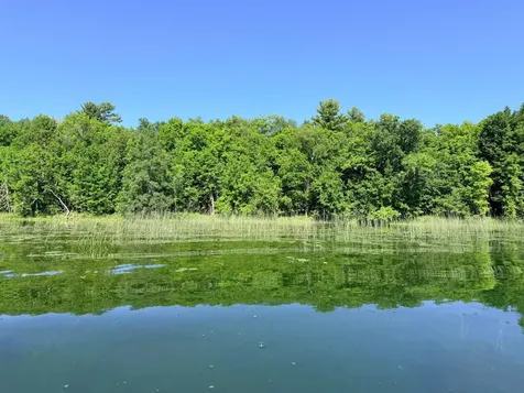 Tbd Buxton Road NW Hackensack MN 56452