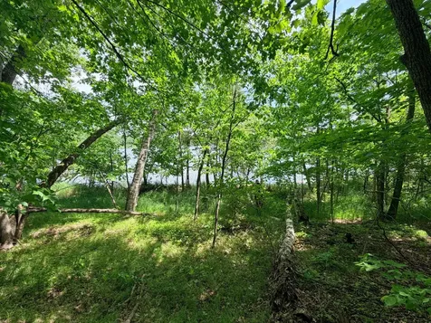 Tbd Buxton Road NW Hackensack MN 56452
