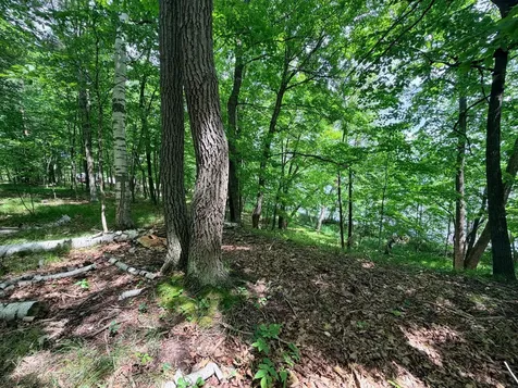 Tbd Buxton Road NW Hackensack MN 56452