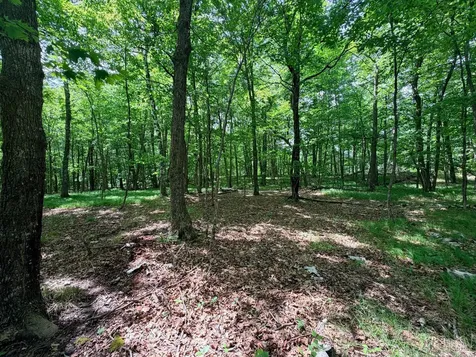 Tbd Buxton Road NW Hackensack MN 56452