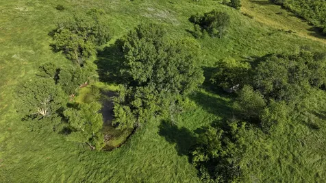 Tbd Dunn Road Caledonia MN 55921