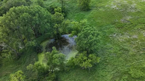 Tbd Dunn Road Caledonia MN 55921