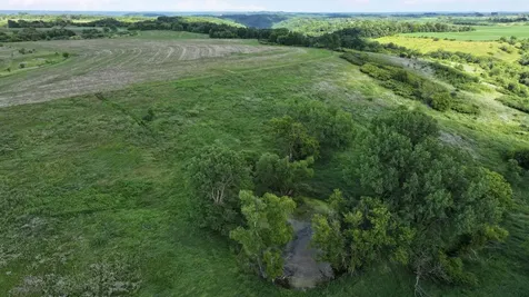Tbd Dunn Road Caledonia MN 55921