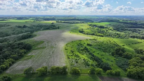 Tbd Dunn Road Caledonia MN 55921