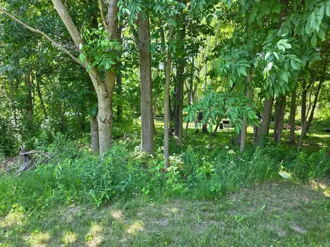 5098 177th Street Ogilvie MN 56358