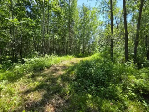 5098 177th Street Ogilvie MN 56358