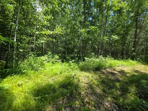 5098 177th Street Ogilvie MN 56358