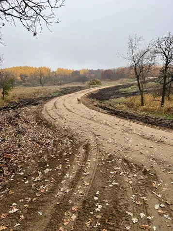 43914 Co Highway 6 Clitherall MN 56524