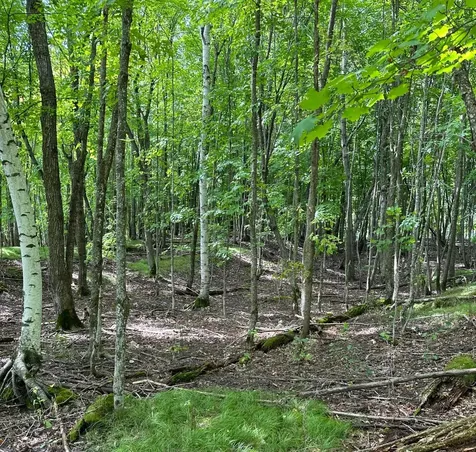TBD_4 Clearwater Point Road Brainerd MN 56401