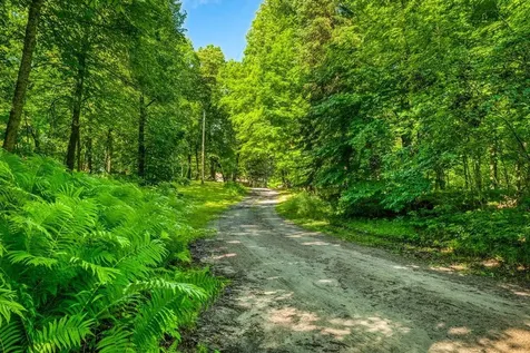52702 Chapel Road Spring Lake MN 56680