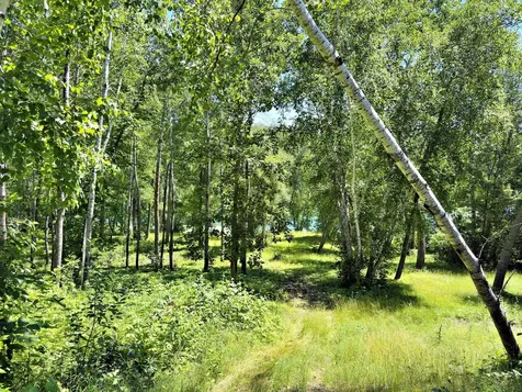 26820 Iris Drive Park Rapids MN 56470