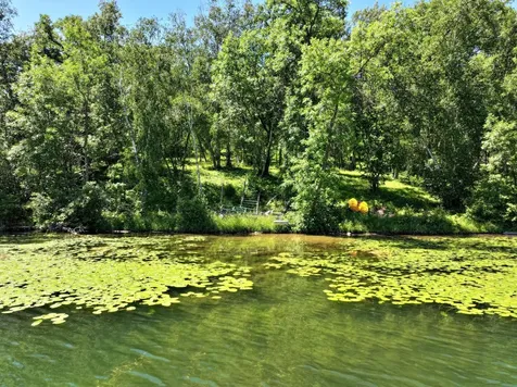 26820 Iris Drive Park Rapids MN 56470
