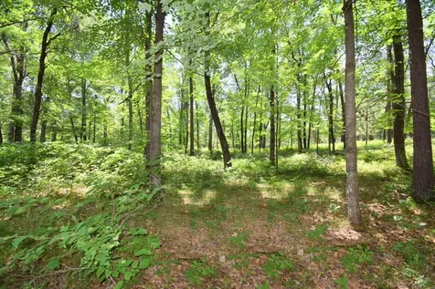 29774 Little Bear Drive Danbury WI 54830