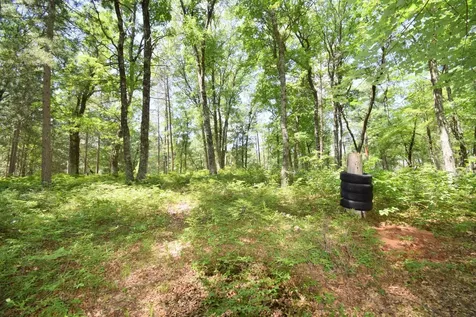 29774 Little Bear Drive Danbury WI 54830