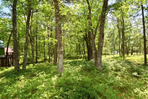 29774 Little Bear Drive Danbury WI 54830