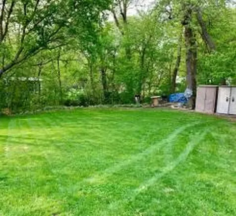 2945 County Road 4 SW Cokato MN 55321