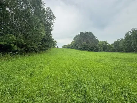 Tbd 590th Street Kellogg MN 55964