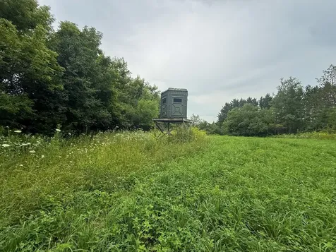Tbd 590th Street Kellogg MN 55964