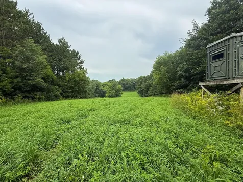 Tbd 590th Street Kellogg MN 55964