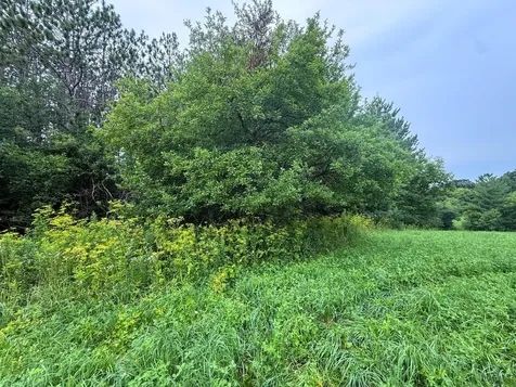 Tbd 590th Street Kellogg MN 55964