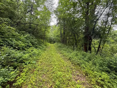 Tbd 590th Street Kellogg MN 55964