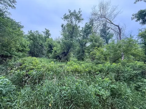Tbd 590th Street Kellogg MN 55964