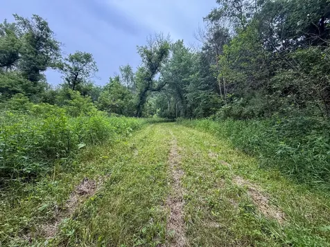 Tbd 590th Street Kellogg MN 55964