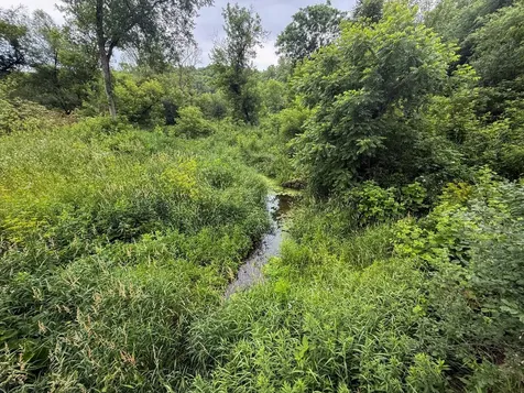 Tbd 590th Street Kellogg MN 55964
